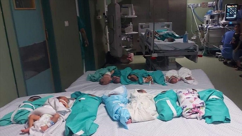 premature babies in gaza s besieged al shifa medical complex photo anadolu agency