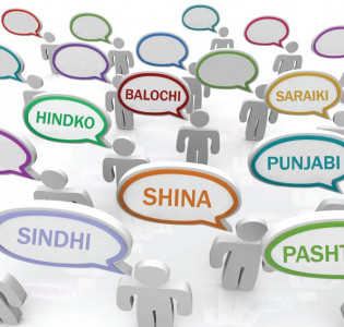 mother tongue shina group endorses language bill