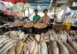 fresh catch and a bit of bengali