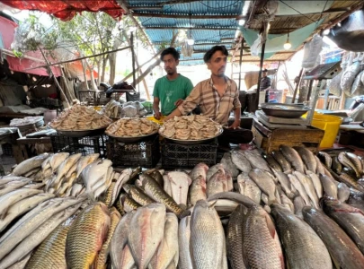 fresh catch and a bit of bengali
