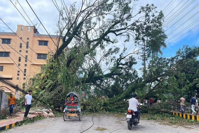 onlookers stand along a road blocked by an uprooted tree in cox s bazar on october 25 2023 following the landfall of cyclone hamoon photo afp onlookers stand along a road blocked by an uprooted tree in cox s bazar on october 25 2023 following the landfall of cyclone hamoon photo afp