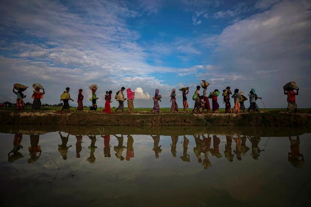 rohingya refugees are reflected in rain water along an embankment next to paddy fields after fleeing from myanmar into palang khali near cox s bazar bangladesh november 2 2017 photo reuters