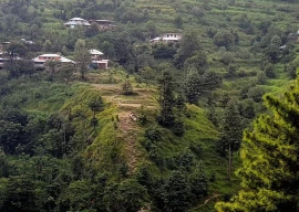dolly lift accident claims life in abbottabad dolly lift accident claims life in abbottabad