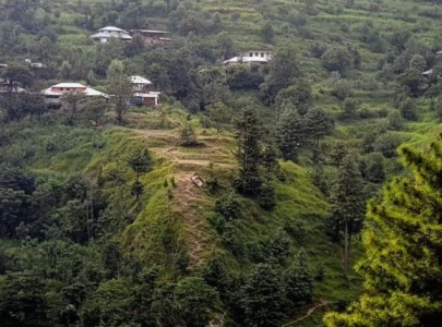 learning lessons from the battagram incident learning lessons from the battagram incident