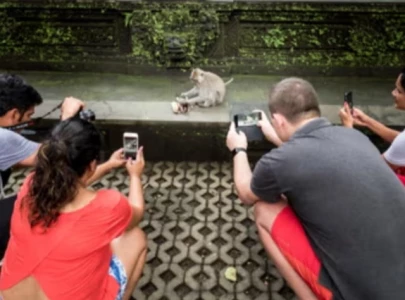 indonesia imposes moratorium on construction of new hotels in bali