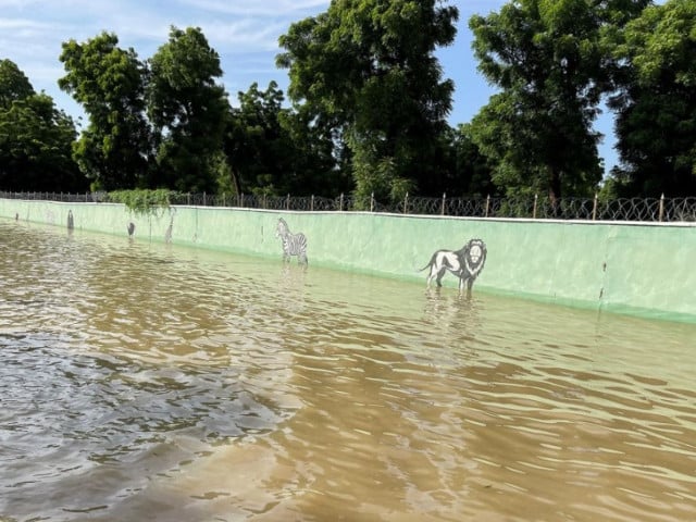 this aerial view shows submerged houses in maiduguri northern nigeria on september 10 2024 photo afp