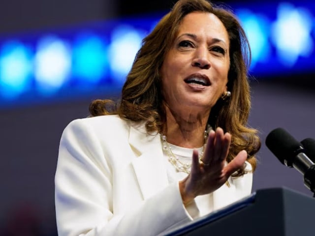 democratic presidential nominee and u s vice president kamala harris delivers remarks at a campaign rally in savannah georgia u s august 29 2024 photo reuters