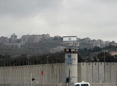 elderly palestinian dies in ayalon prison due to torture