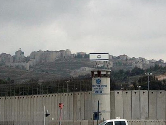 elderly palestinian dies in ayalon prison due to torture