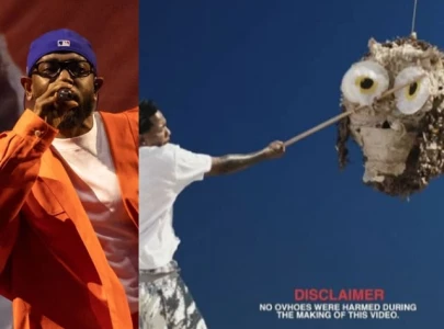kendrick lamar takes a swing at drake s ovo with owl pi ata in not like us video teaser