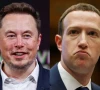 dana white reveals why elon musk and mark zuckerberg s mma fight never happened