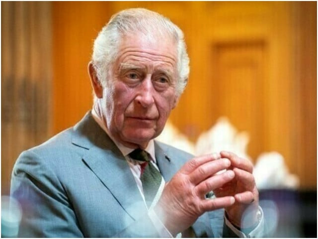 animal rising vandalize king charles first official portrait with wallace and gromit comic