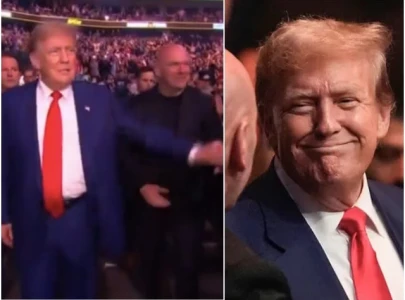 donald trump gets standing ovation at ufc 302 days after hush money trial