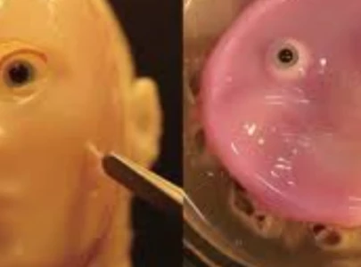 japanese scientists build smiling robot with real human skin