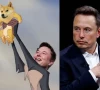 elon musk debuts doge logo as trump appoints him co head of the department of government efficiency
