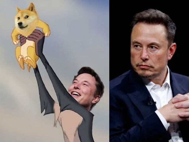elon musk debuts doge logo as trump appoints him co head of the department of government efficiency