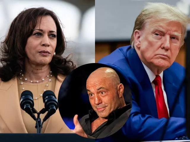 joe rogan s 14 5m followers could be key to trump s success as harris considers jre appearance