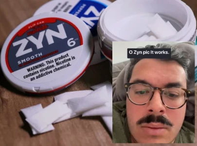 zyn nicotine pouches dubbed gen z s weight loss secret secure fda approval
