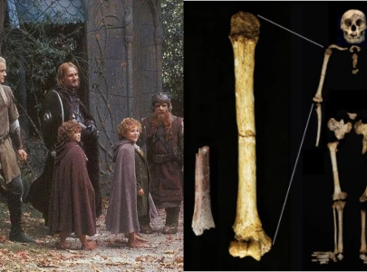scientists uncover new evidence linking to indonesia s hobbit species