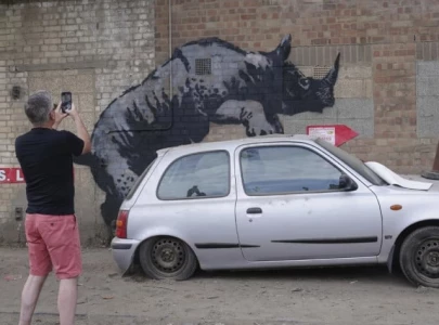 banksy reveals new rhino mural in london as part of week long animal art series