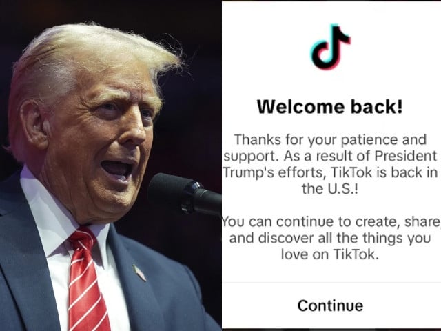 courtesy tiktok