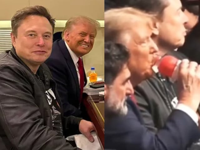 trump and elon musk spotted sipping prime at ufc 309 as ksi reacts w trump and elon