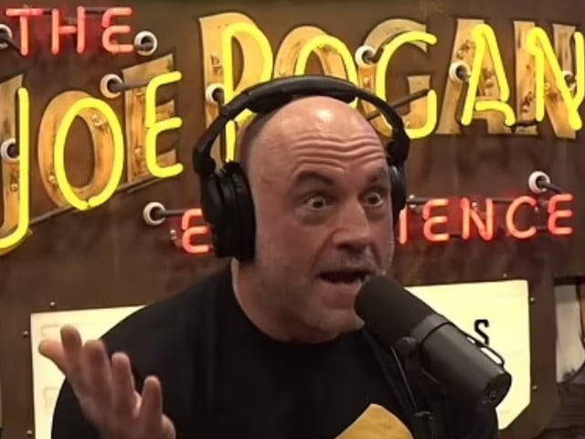 joe rogan stunned by us homeland security advisor s prediction on ai powered jets in future wars