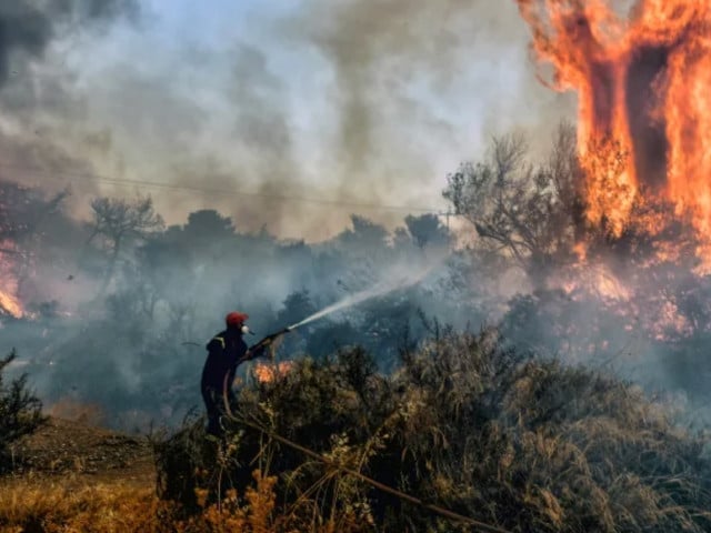 a firefighter douses flames on a wildfire at panorama settlement near agioi theodoroi some 70km 43 miles west of athens photo valerie gache afp