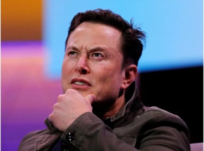 elon musk promotes controversial high status males theory on x sparks backlash