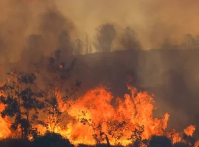 wildfires erupt in western turkey