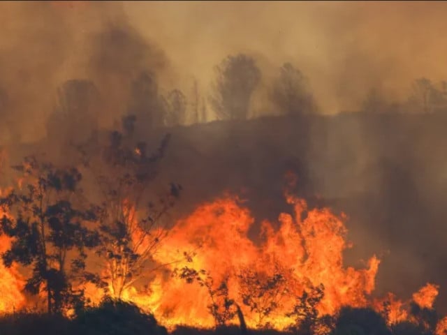 wildfire in turkey photo aljazeera