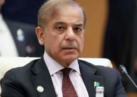 pm shehbaz decides to abolish five key ministries in major government overhaul