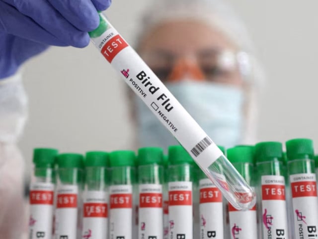 a person holds a test tube labelled bird flu in this picture illustration january 14 2023 reuters dado ruvic illustration photo reuters