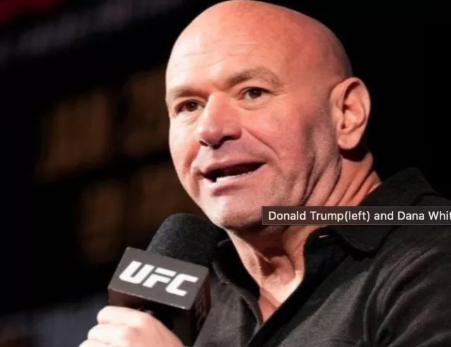 dana white photo pink villa dana white photo pink villa