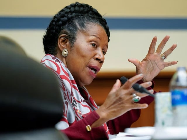 u s rep sheila jackson lee d texas speaks during a house committee on oversight and reform hearing on gun violence on capitol hill in washington u s june 8 2022 andrew harnik photo via reuters