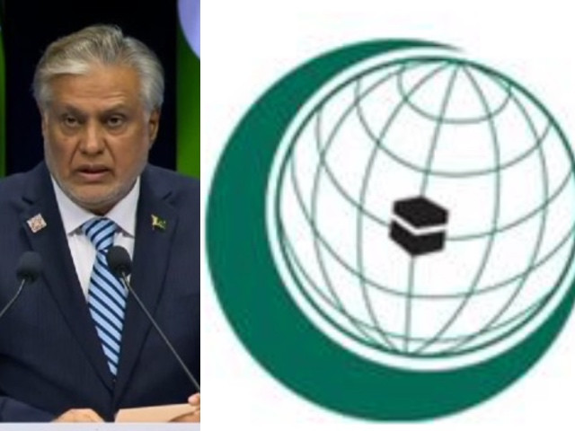 dar in gambia to represent pakistan at oic summit