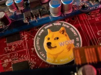 a representation of cryptocurrency dogecoin is placed on a pc motherboard in this illustration taken june 16 2023 photo reuters