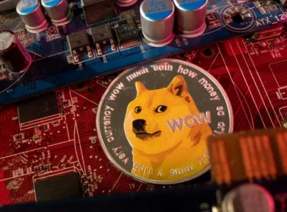 kabosu the face of cryptocurrency dogecoin dies at 18 owner says kabosu the face of cryptocurrency dogecoin dies at 18 owner says