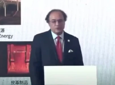 finance minister aurangzeb unveils pakistan s plan to tap into the chinese capital market