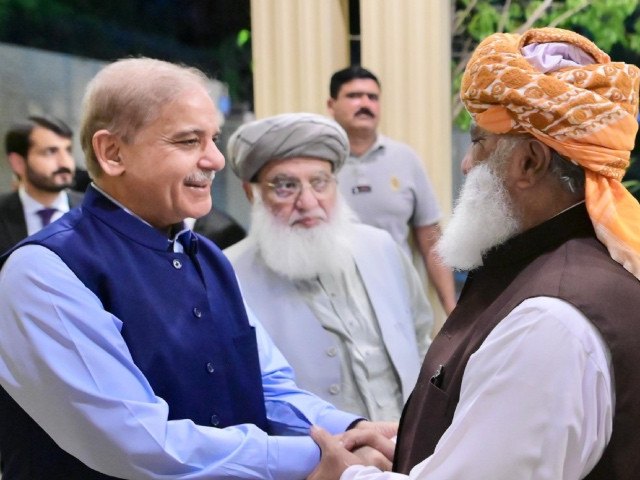 PM Shehbaz and Fazi shaking hands PHOTO: PTV Facebook