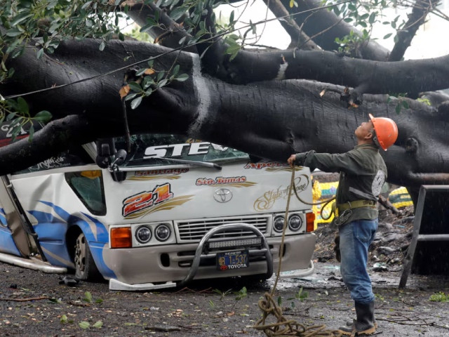 municipal worker observe a tree that fell on a public transportation unit due to the heavy rains in san salvador el salvador june 20 2024 photto reuter