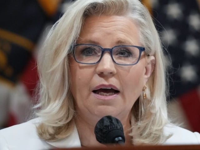 former republican rep liz cheney announced wednesday that she will vote for democratic presidential nominee kamala harris as she warned about the danger that donald trump poses photo upi