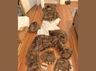 four charged with insurance fraud after staging bear attack in california four charged with insurance fraud after staging bear attack in california