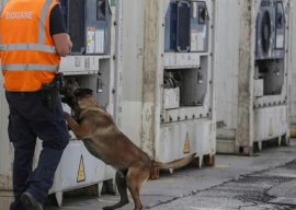 dozens jailed in belgium drug smuggling mega trial