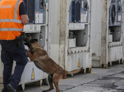 dozens jailed in belgium drug smuggling mega trial dozens jailed in belgium drug smuggling mega trial