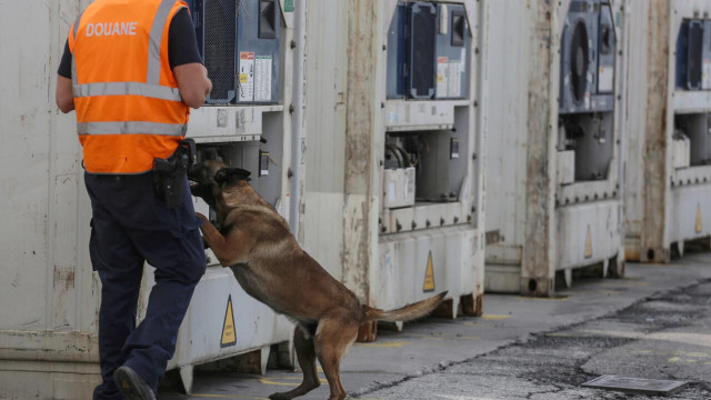 belgium s giant port of antwerp has become a major entry for cocaine being smuggled into europe file photo afp belgium s giant port of antwerp has become a major entry for cocaine being smuggled into europe file photo afp