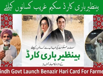 42 000 farmers registered for hari card in sukkur ghotki