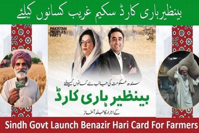 42 000 farmers registered for hari card in sukkur ghotki