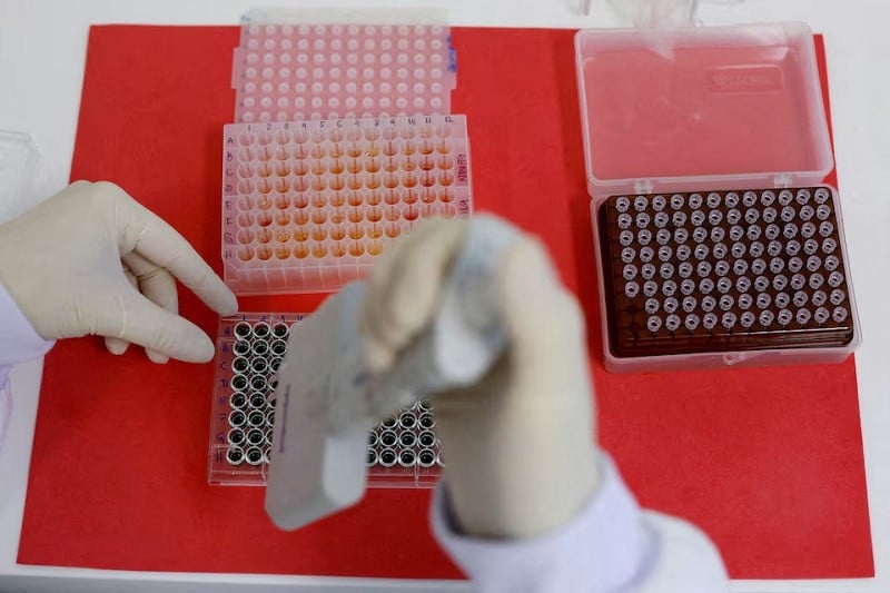 An employee dilutes poultry serum samples for ELISA test for the detection of antibodies to the avian influenza virus at the Reference Laboratory of the World Organization for Animal Health in Campinas, Brazil April 25, 2023. PHOTO: REUTERS