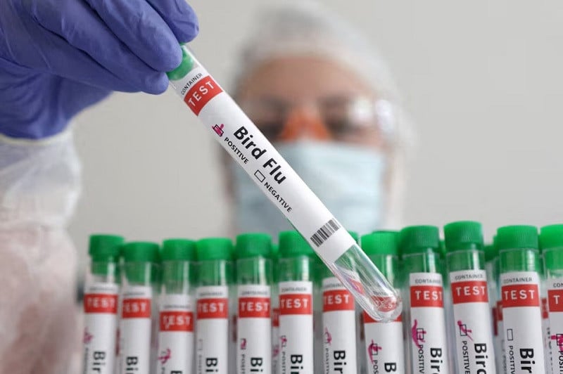 a person holds a test tube labelled bird flu in this picture illustration january 14 2023 photo reuters